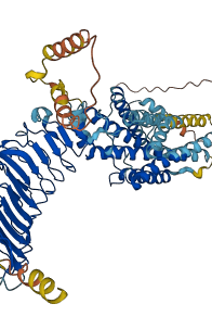FSHR 3D structure