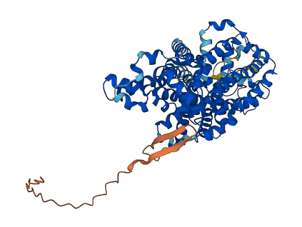 SLC6A2 3D structure