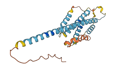 IL32 3D structure