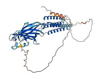 GABRR1 3D structure