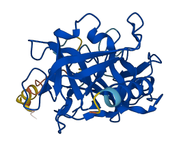 PRTN3 3D structure