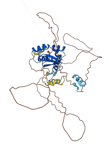 ZBTB25 3D structure