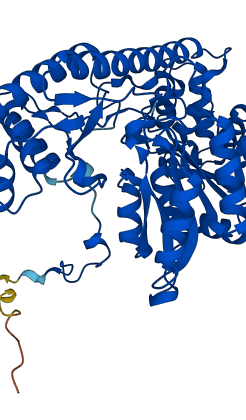 GPT 3D structure
