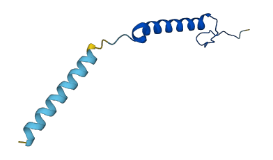COX7B 3D structure