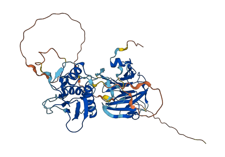 MMP11 3D structure