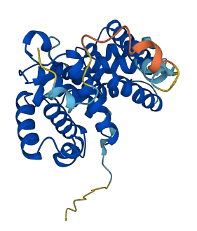 CCND1 3D structure
