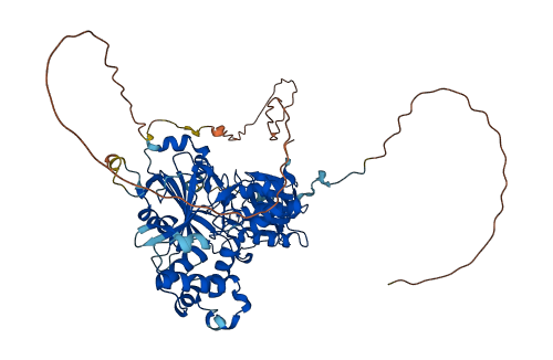 CHM 3D structure