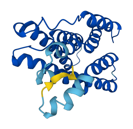 KDELR1 3D structure