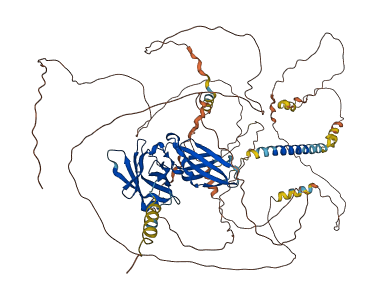 IL4R 3D structure