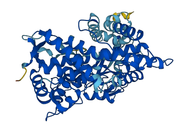 Cyp2d11 3D structure