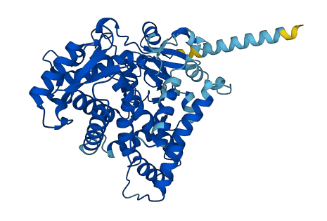 Cyp2c23 3D structure