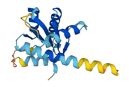 GADD45A 3D structure