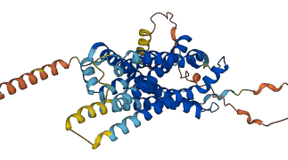 EDNRB 3D structure