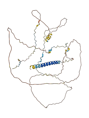 AKAP5 3D structure
