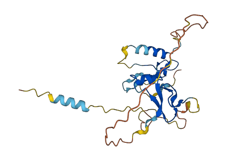 IGFBP6 3D structure