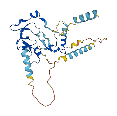 IGFBP5 3D structure