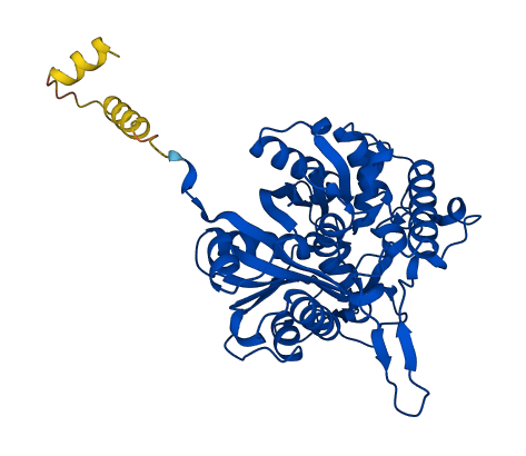 ACAT1 3D structure