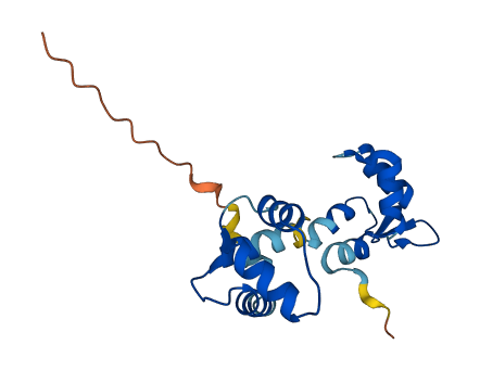 MYL9 3D structure