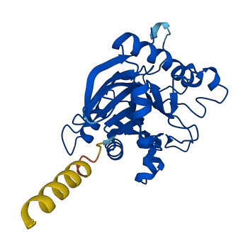 DNASE1 3D structure