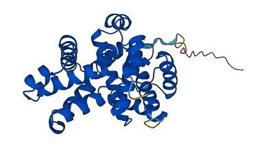 CCNC 3D structure