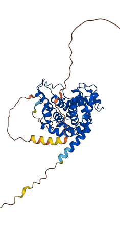 CCNE1 3D structure