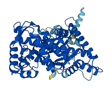 CYP2F1 3D structure