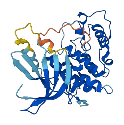 CDK2 3D structure