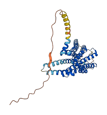 HRH2 3D structure