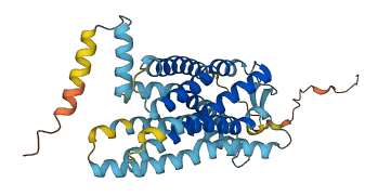 CXCR1 3D structure