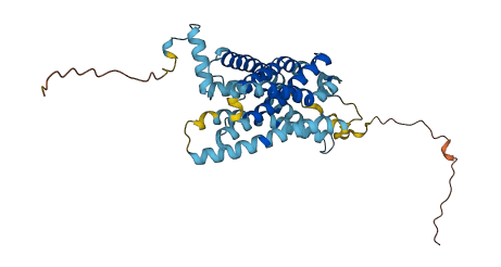 CXCR2 3D structure