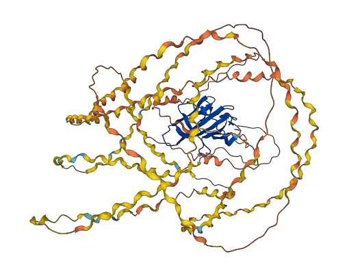 COL8A2 3D structure