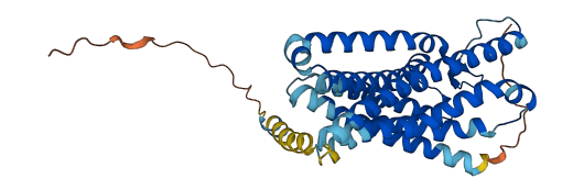 FPR3 3D structure