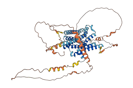 ADRA1D 3D structure