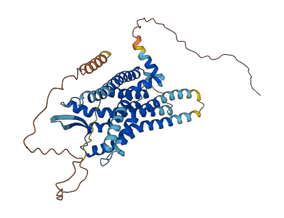 EDNRA 3D structure