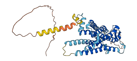 TACR1 3D structure