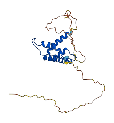 NFYB 3D structure