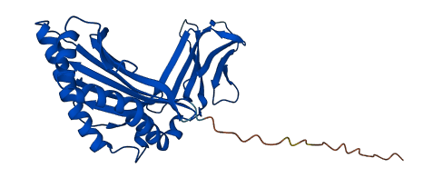 AZGP1 3D structure