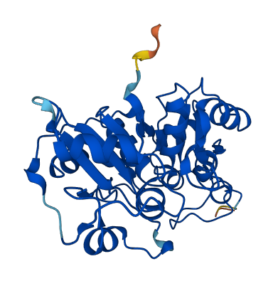 MPST 3D structure