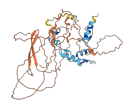 YY1 3D structure