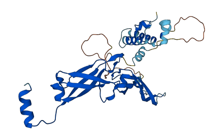 DNAJB1 3D structure