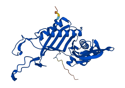 Uox 3D structure