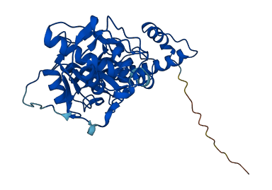 CTSS 3D structure