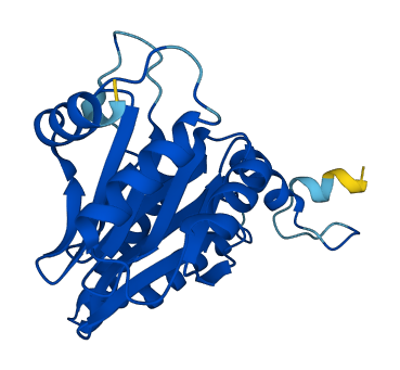 PSMA2 3D structure