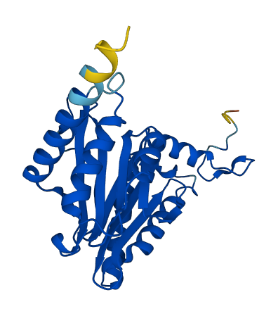 PSMA3 3D structure