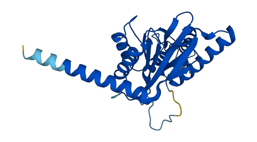 PSMA4 3D structure