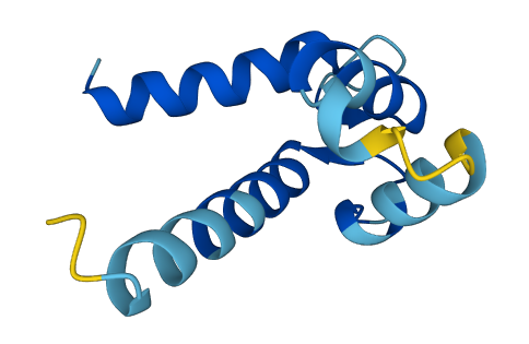 S100P 3D structure