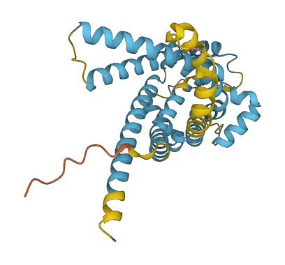 UCP1 3D structure