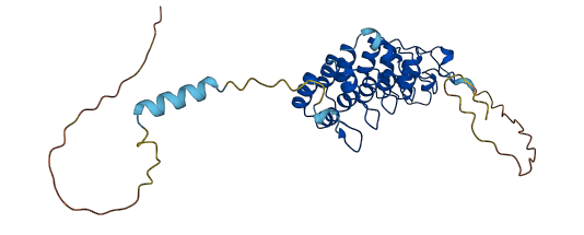 NFKBIA 3D structure