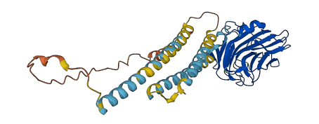 PTX3 3D structure