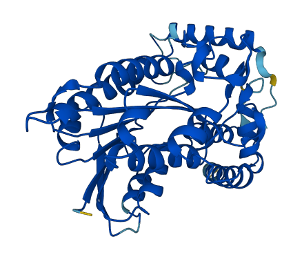 Hsd3b3 3D structure